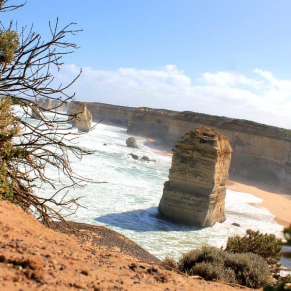 Rock formations stand amid crashing waves along a rugged coastline, with vegetation in the foreground under a clear blue sky.